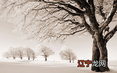 八字命局神为金意味着着啥意思吗?八字喜用喜神怎么查看