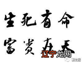 八字命理看寿元_张馨予八字命理看婚姻_命理八字看婚姻