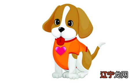 图 属狗的小伙伴，和什么属相的人最相配？