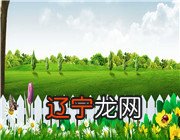 韦柳风水堂:八字缺什么与补什么无关