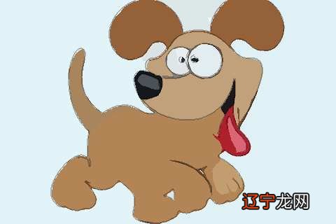 属狗人2022年感情姻缘运势