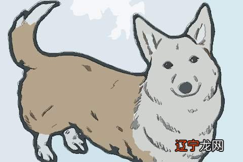 月运 属狗人2022年全年运势吉凶点评2022