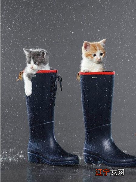 风水堂:梦见雨过天晴的梦是圆满结局