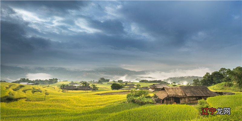 易道风水命理:八字看创作才华,八字命主全的人有才华