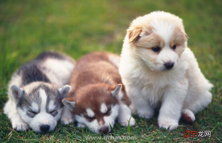 组图 志不强者智不达——墨翟青岛育儿网