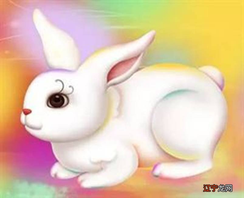 父母属兔,孩子什么属相好__与子鼠