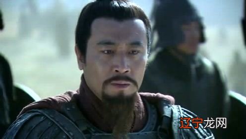 三国人物生肖古代帝王的生肖三国的刘备属什么生肖