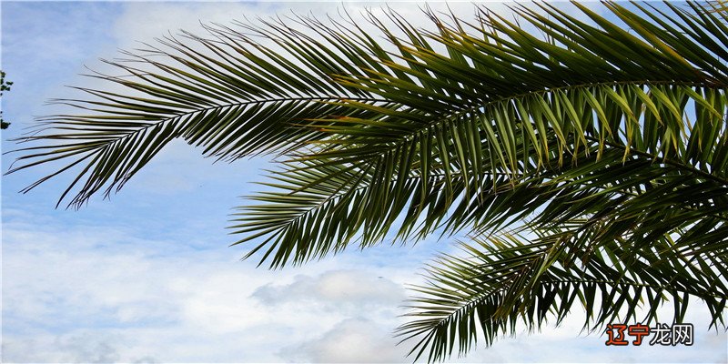 女人左下巴有痣好吗，运势会受到影响的影响