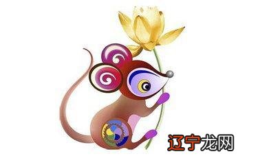 生肖属相属什么老年财运最好解析,怎么样的呢