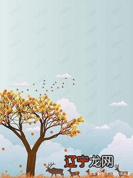 中国文化的什么样和融合力，管你是哪里的？