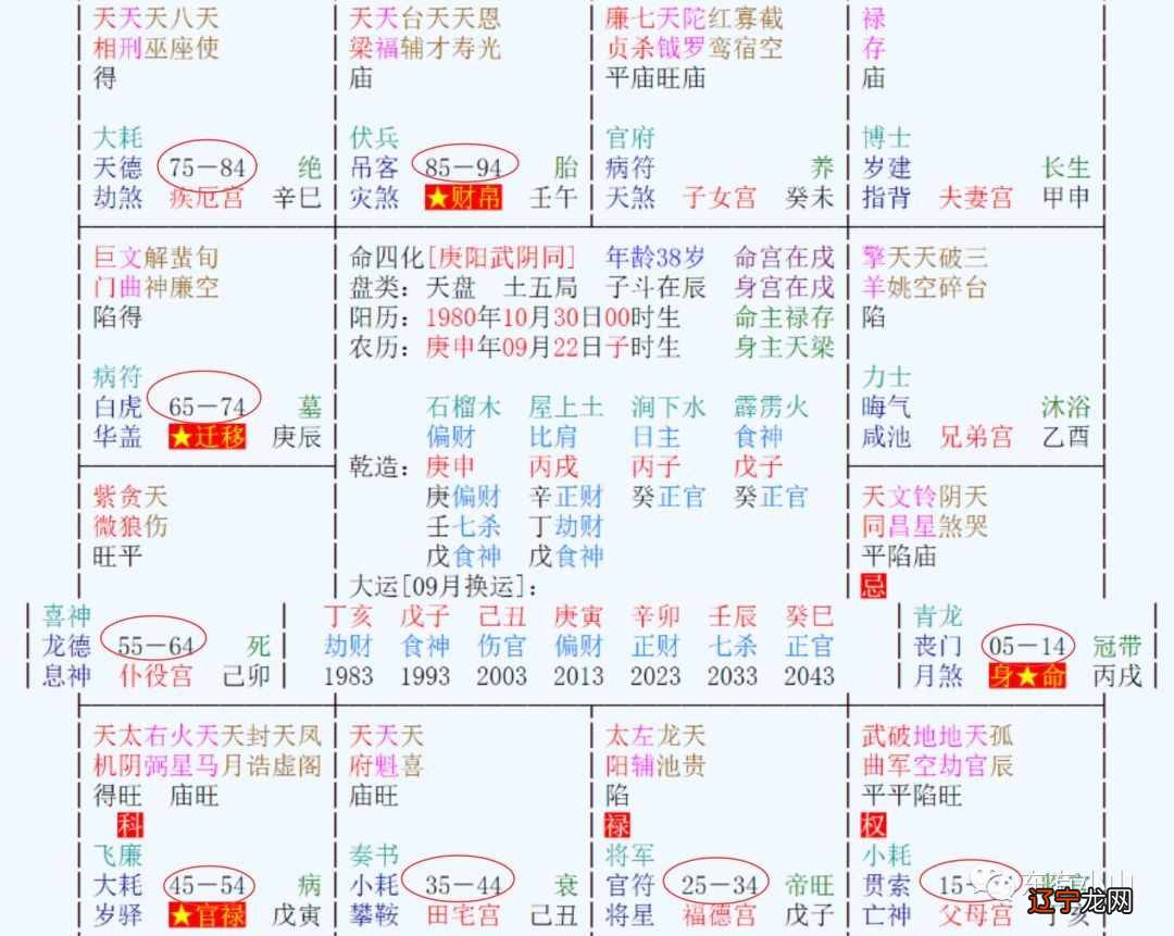 可自学的术数_数据管理系统access自学教程_高中自学高数