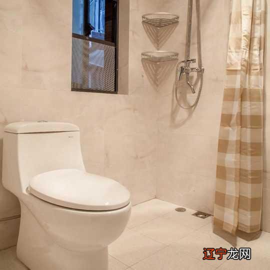 2.西北缺角奇形异状的房子不能买，那房子可以买吗？