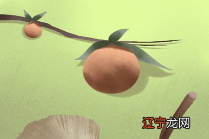 想学之术应该从哪里开始学起？有什么书可以参考借鉴？