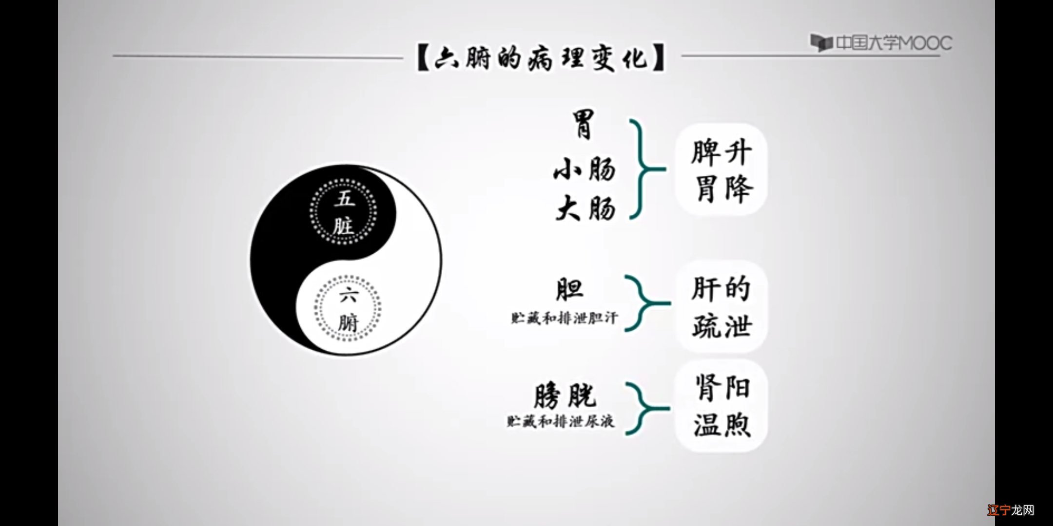 睡觉时肩颈沉重、紧绷,手发麻频繁做梦你的身体可能病了