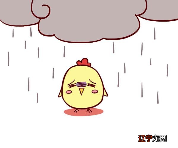 一下人进入2018年戊戌狗年,意味着又大了一岁