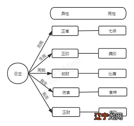 命理十神详解_八字命理基础知识之十神_八字十神有九神