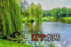 生辰八字算命婚姻配对在线_婚姻配对算命婚姻免费_生辰八字算命婚姻配对