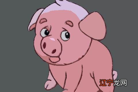 在进入2022壬寅虎年的时候2007年属猪2022年运势及运程