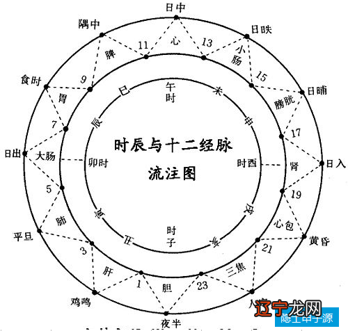 01时至03时 十二生肖字五行属性是什么意思 十二时辰的第二个...