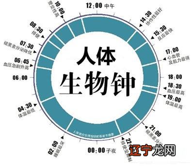 01时至03时 十二生肖字五行属性是什么意思 十二时辰的第二个...