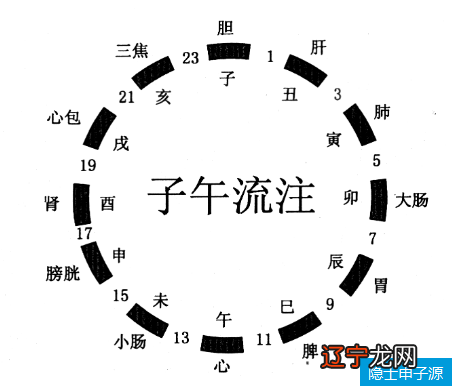 01时至03时 十二生肖字五行属性是什么意思 十二时辰的第二个...