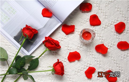 黄历中的合婚是什么意思_黄历中求嗣是什么意思_黄历中祈福是什么意思