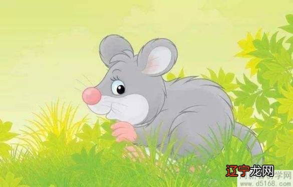 的女生和射手座的男生相配吗?属鼠的人2020年鼠年全年运程