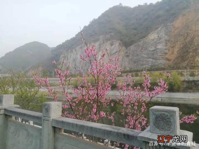 中国有这么一部神奇的书,“四书五经”全读遍