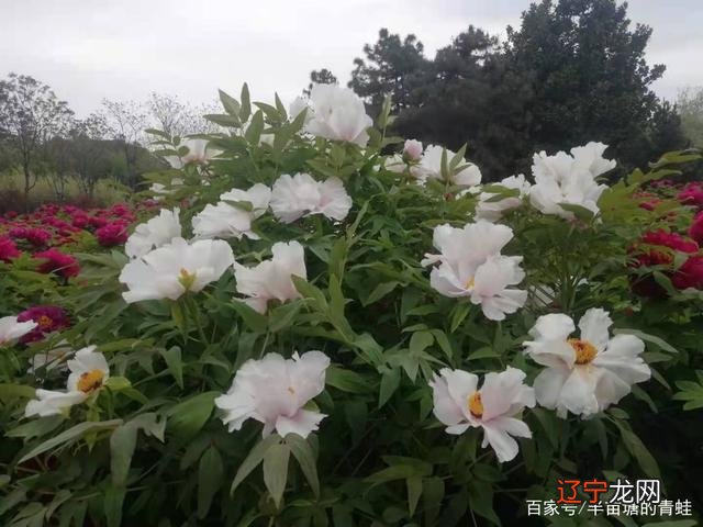 中国有这么一部神奇的书,“四书五经”全读遍