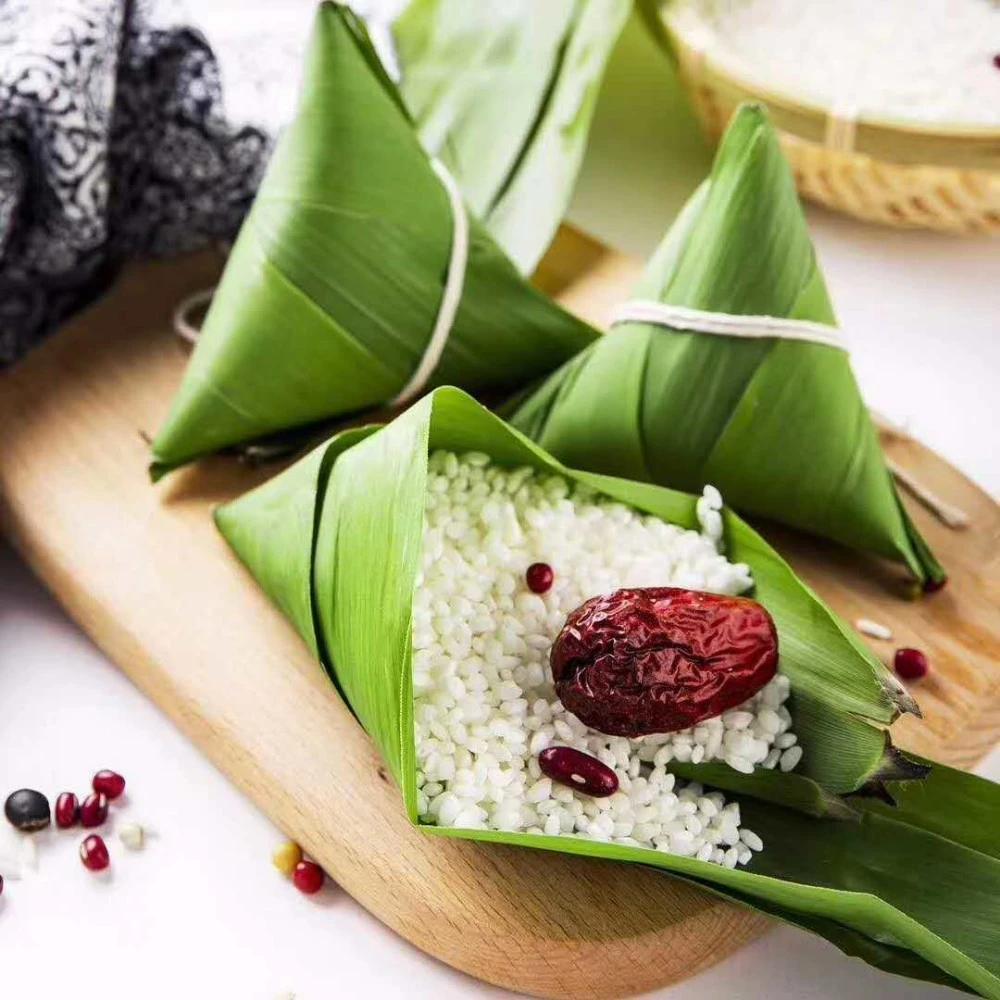 集锦15篇 小编方案属于计划类文书的一种