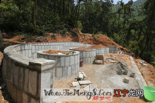 梦见祖坟上有鸟窝周公解梦梦见自己给自己挖掘坟墓