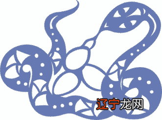 肖蛇风水堂:生肖蛇的人在鼠年运程极好