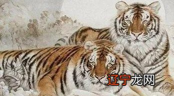 属虎2021年十二生肖虎运势分析及运势