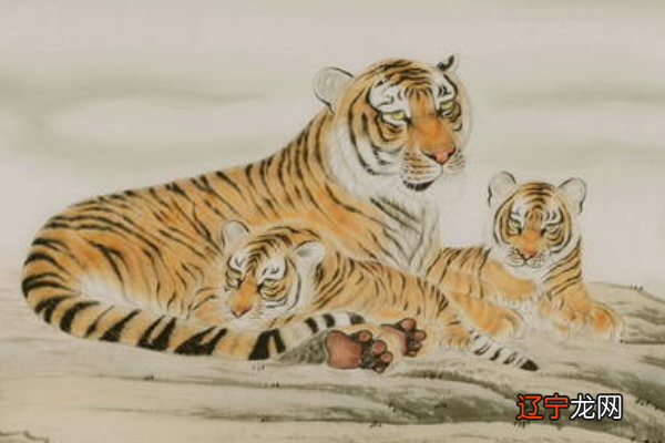 属虎2021年十二生肖虎运势分析及运势