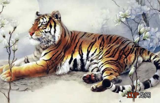 属虎2021年十二生肖虎运势分析及运势