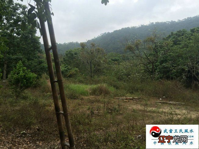 图 刘江东是杨公风水术传承的大功臣