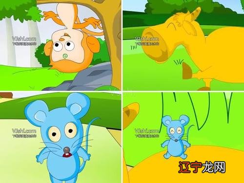 2020属猪的运势和财运属牛的财运在哪个方向