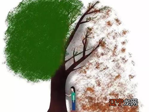 怎么从八字中看你的流年运势如何:1流年干支为喜