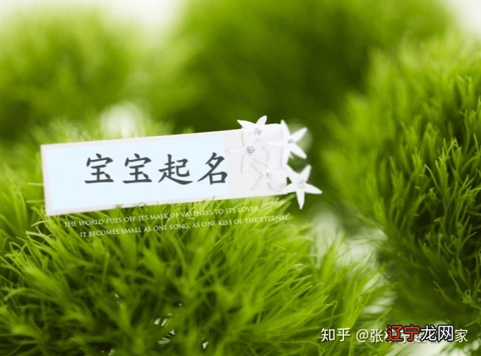 张桉宁带诗词出处,99个高分名字,值得收藏!