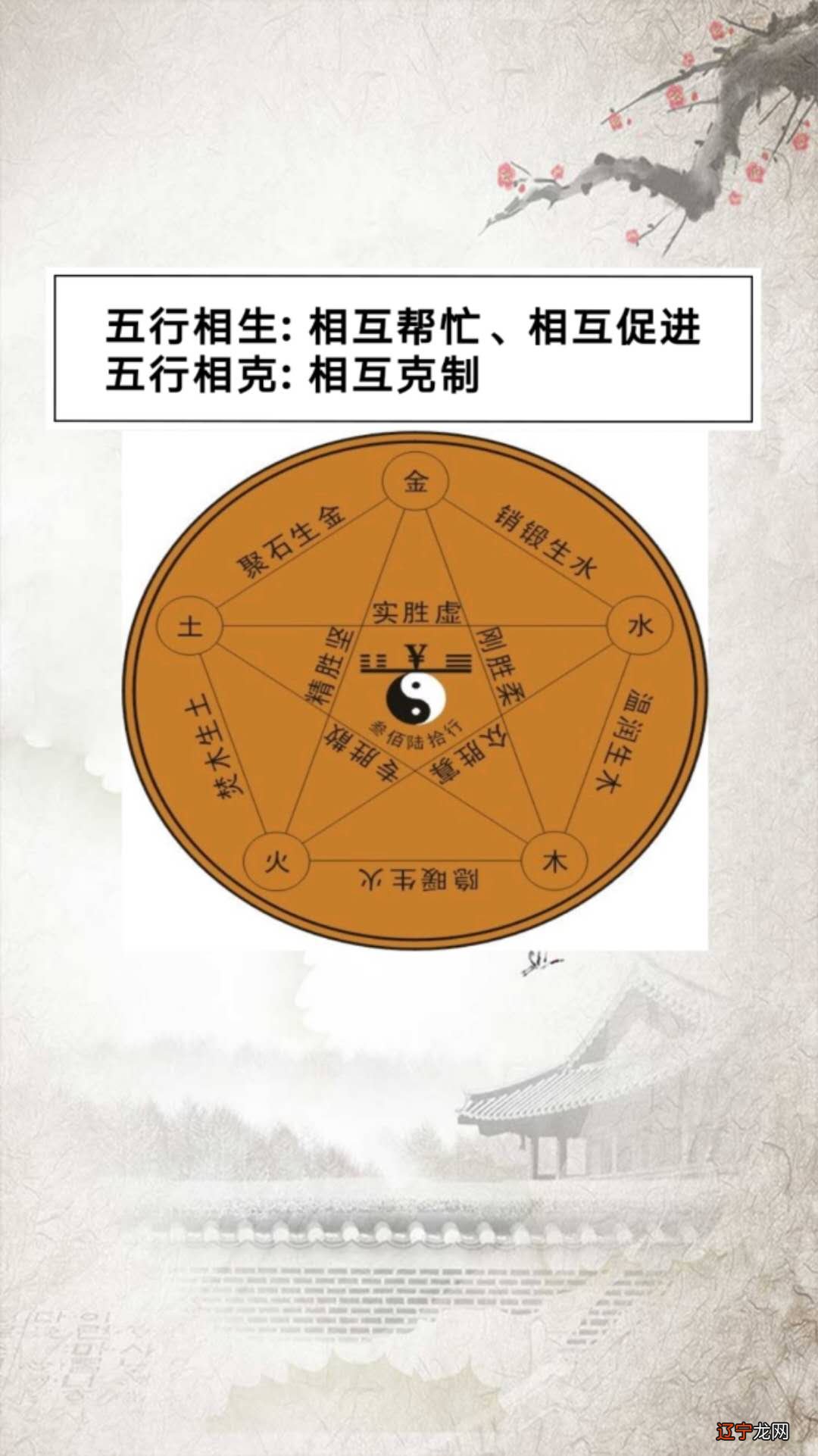 数字的一体多面很多学易经的人就是修道大智慧