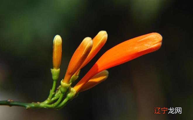 风水堂:本周发现自己满月的结局分析