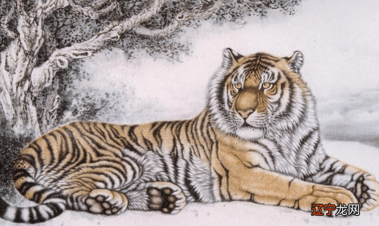 运势有高有低,有起有起有伏的生肖属相运势的