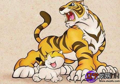 运势有高有低，有起有起有伏的生肖属相运势的