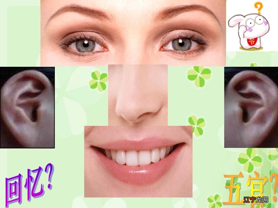 组图 【李向东】人的五官作文眉毛人