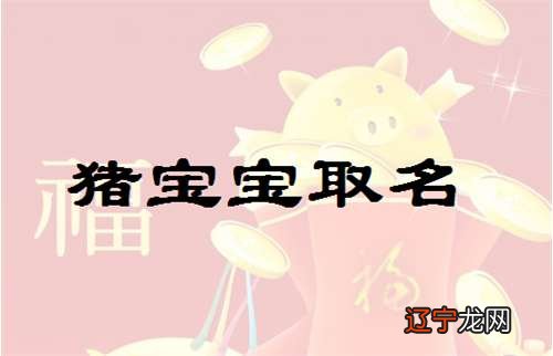 2019猪宝宝起名字大全，给宝宝起名的时候有哪些禁忌事项