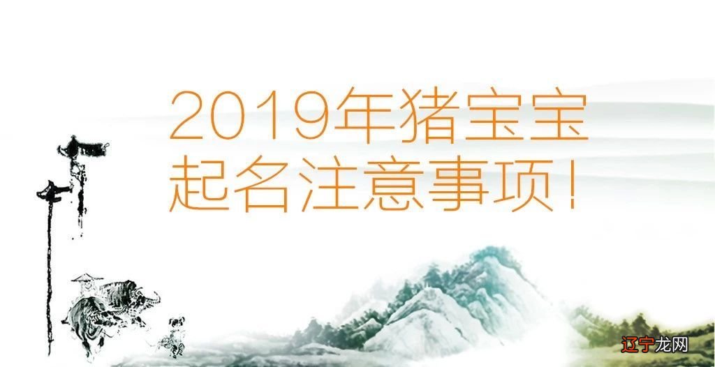 2019猪宝宝起名字大全，给宝宝起名的时候有哪些禁忌事项