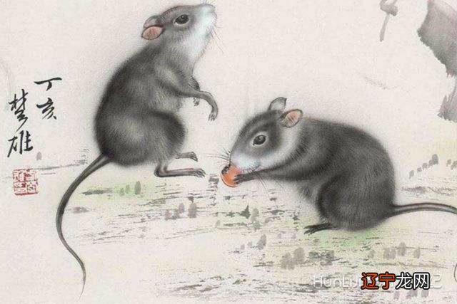 组图 属鼠和属马的人结婚怎么化解？
