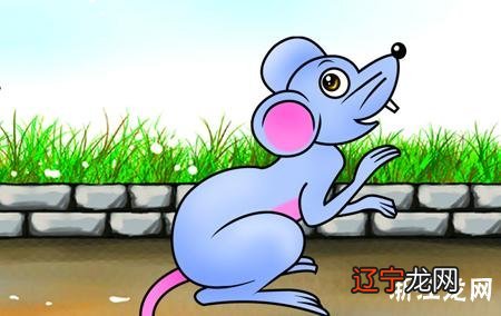 组图 属鼠和属马的人结婚怎么化解？