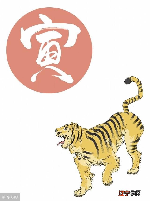 属虎和属龙的夫妻运气速配度生肖虎+生肖龙