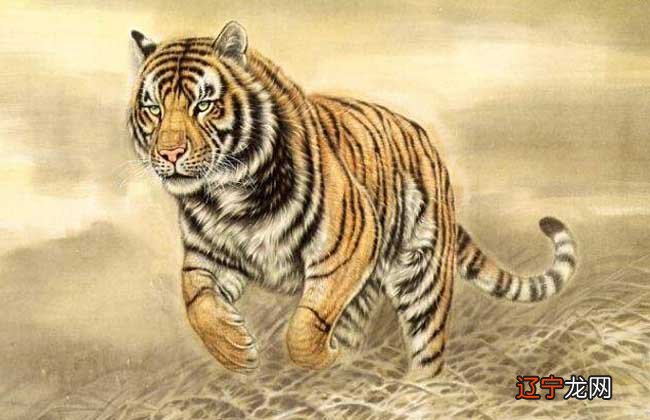 属虎和属龙的夫妻运气速配度生肖虎+生肖龙